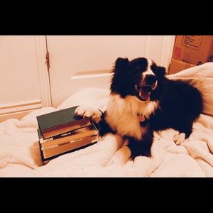 Meet your Posher, Abbey